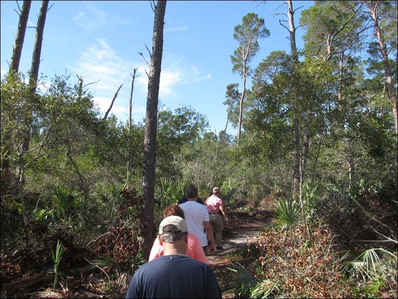 Ranger-Led Tour Through Turkey Creek Sanctuary