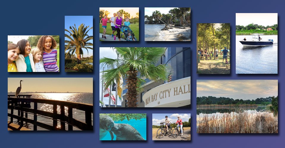 Collage with images of Palm Bay