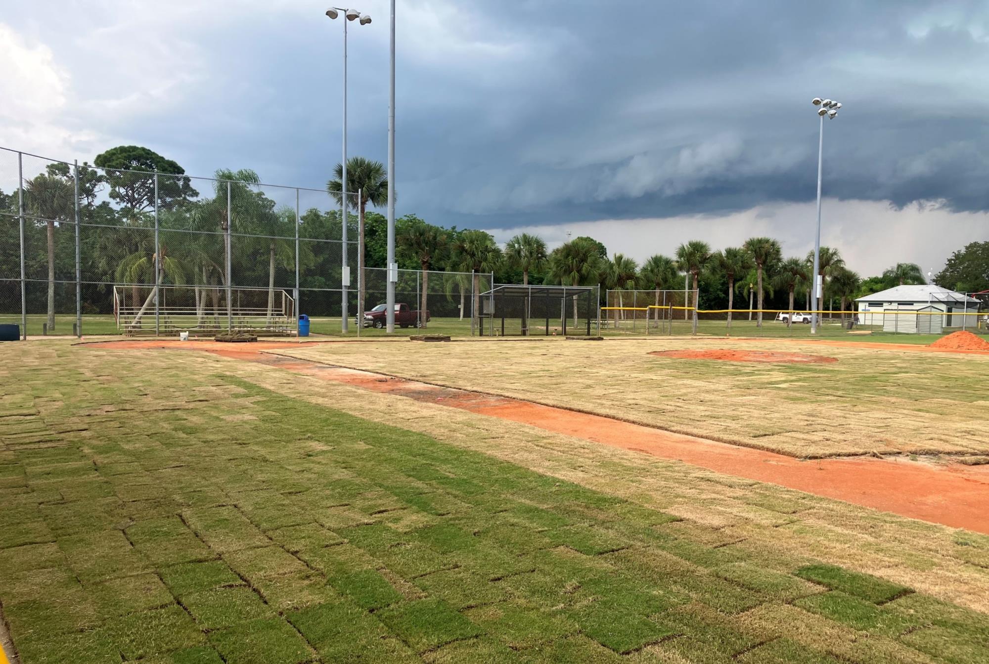 Knecht Field 3 Project 1