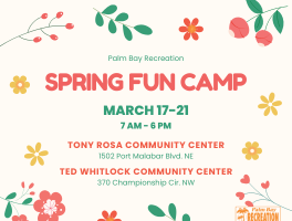 25 Spring Camp